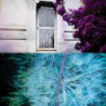 ALL THE THINGS THAT HAPPEN