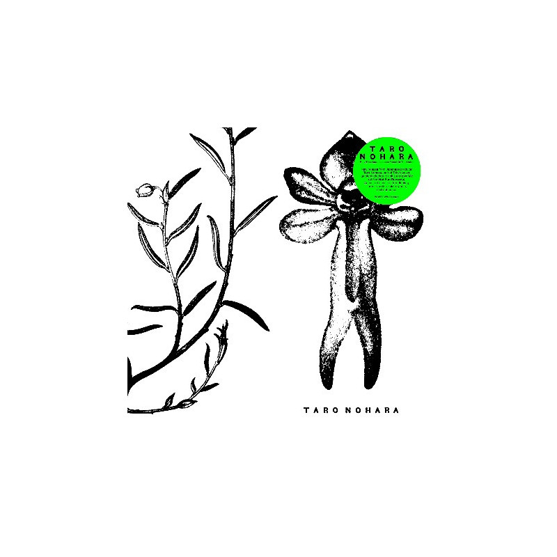 POLY-TIME SOUNDSCAPES/FOREST OF THE