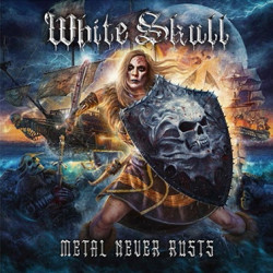 METAL NEVER RUSTS