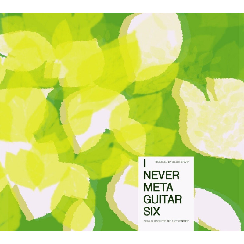 I NEVER METAGUITAR 6