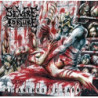 FEASTING ON BLOOD - CLEAR / RED