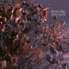 INTERNAL RADIO (LAVENDER VINYL)