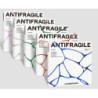 ANTIFRAGILE COMPACT