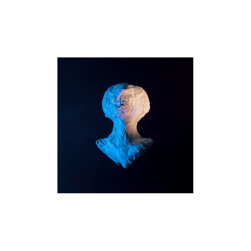 AUSLANDER