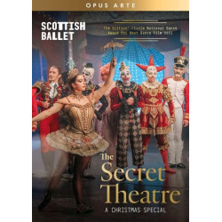 THE SECRET THEATRE