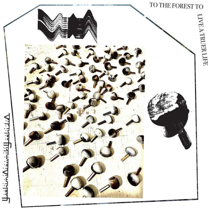 TO THE FOREST TO LIVE ATRUER LIFE