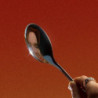 THE SPOON