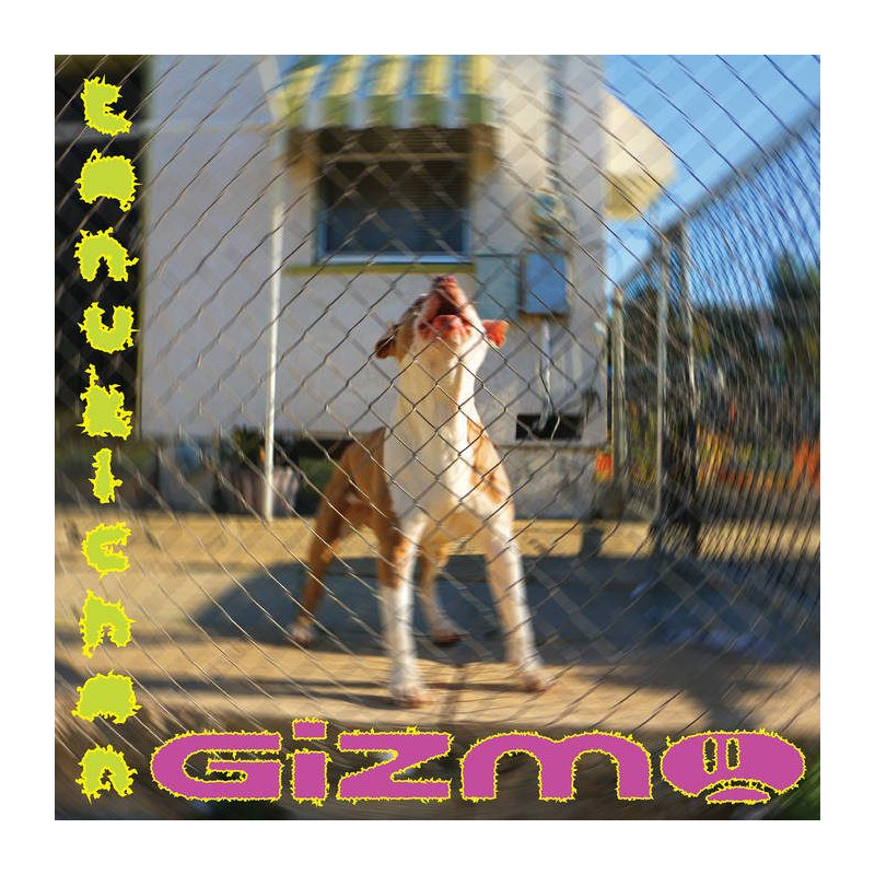 GIZMO