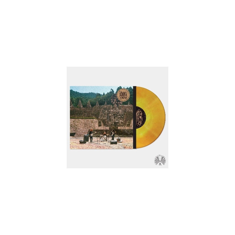 LEVITATION SESSIONS - COLORED VINYL