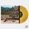 LEVITATION SESSIONS - COLORED VINYL