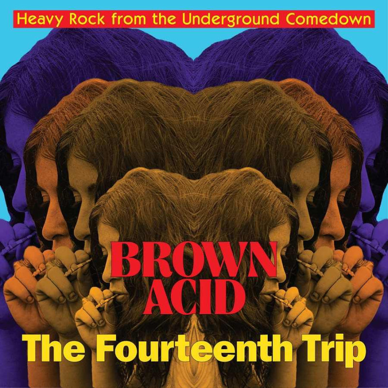 BROWN ACID - THE FOURTEENTH TRIP