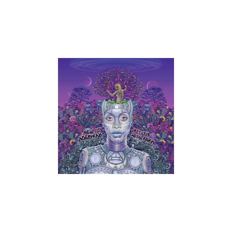 NEW AMERYKAH PART TWO