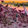 THIS PLACE YOU KNOW (CLOUDY PINK VINYL)