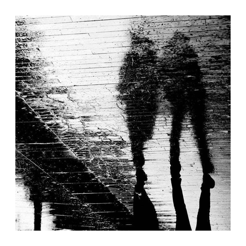 REFLECTIONS FROM THE ROAD