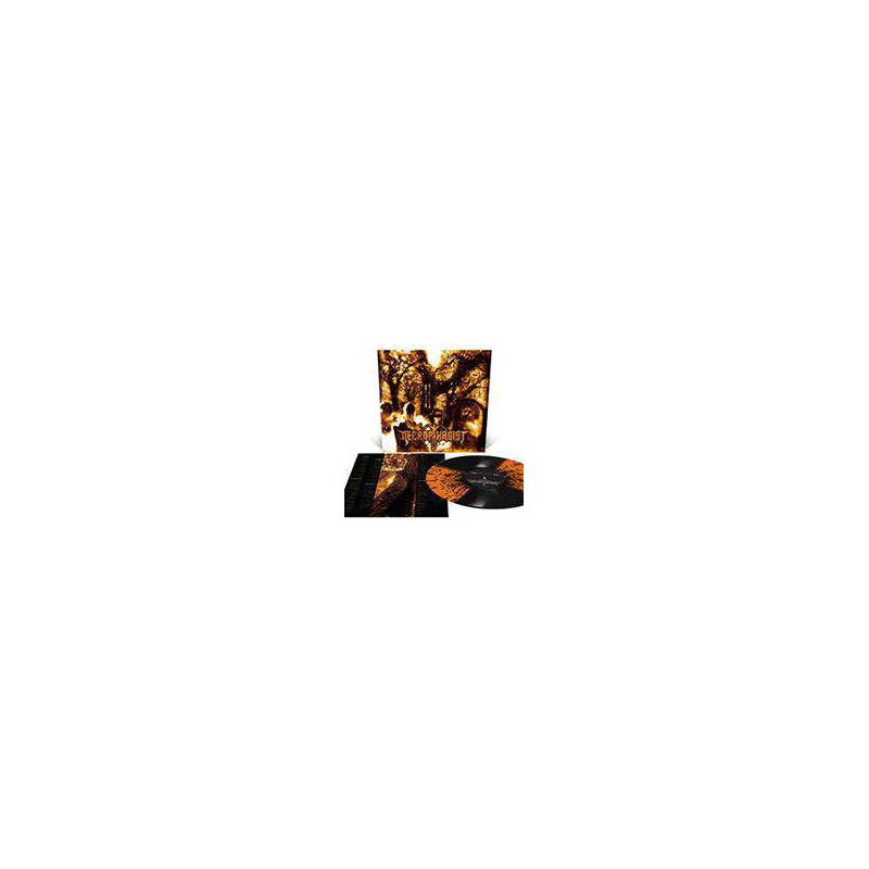 EPITAPH - ORANGE KRUSH AND BLACK QUAD