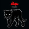 FELINE