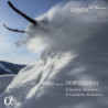 HAYDN 2032 -  VOL 13 HORN SIG