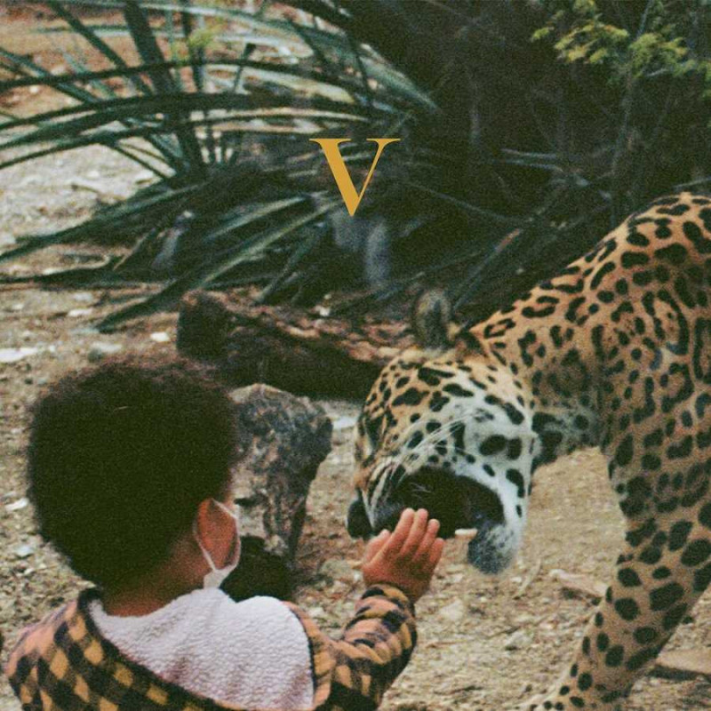 V (GOLDEN NUGGET VINYL)