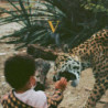 V (GOLDEN NUGGET VINYL)
