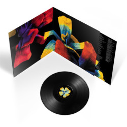 COSI SPECIALE (LP)