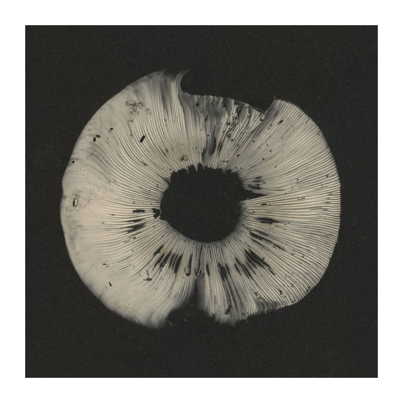 CYCLES II (20TH ANNIVERSARY SAMPLER)