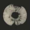 CYCLES II (20TH ANNIVERSARY SAMPLER)