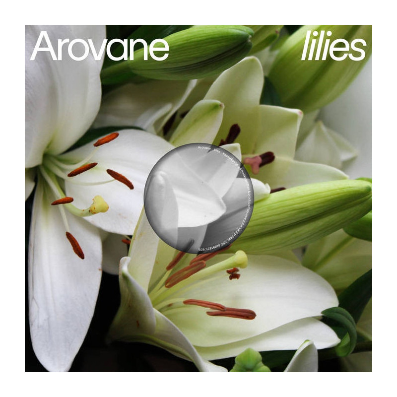LILIES