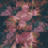 PRISM (NATURAL W/ BLACKSWIRL VINYL)