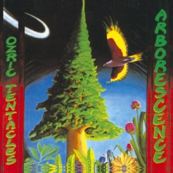 ARBORESCENCE