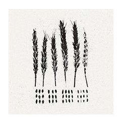 THE GLEANERS