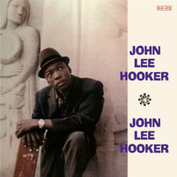 JOHN LEE HOOKER - THE...