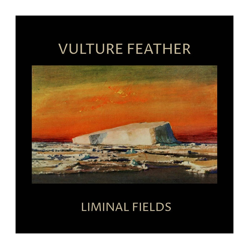 LIMINAL FIELDS (BONE VINYL)