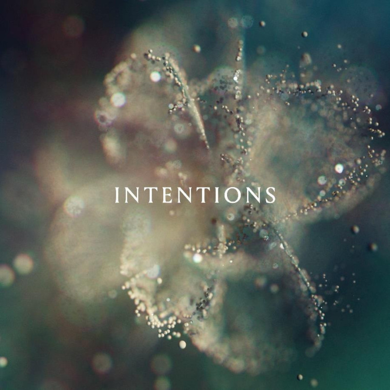 INTENTIONS