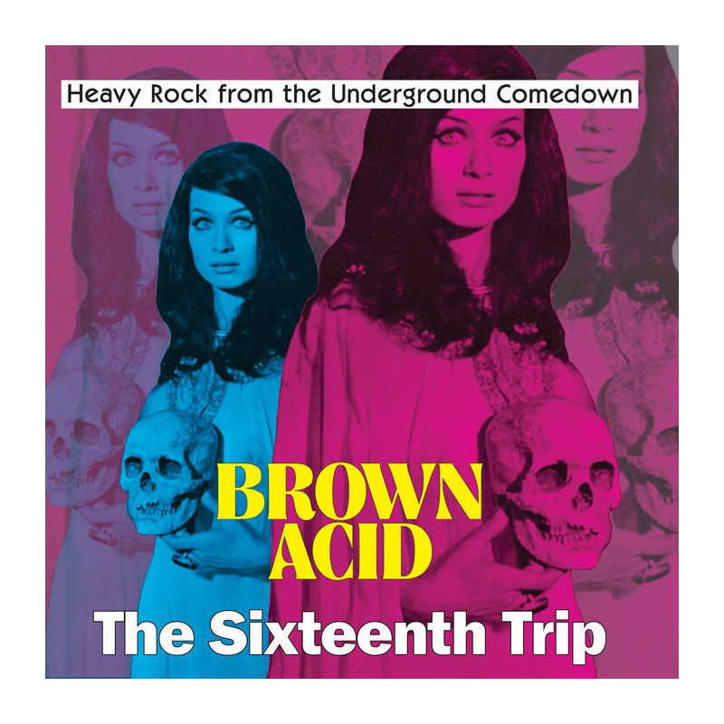 BROWN ACID - THE SIXTEENTH TRIP