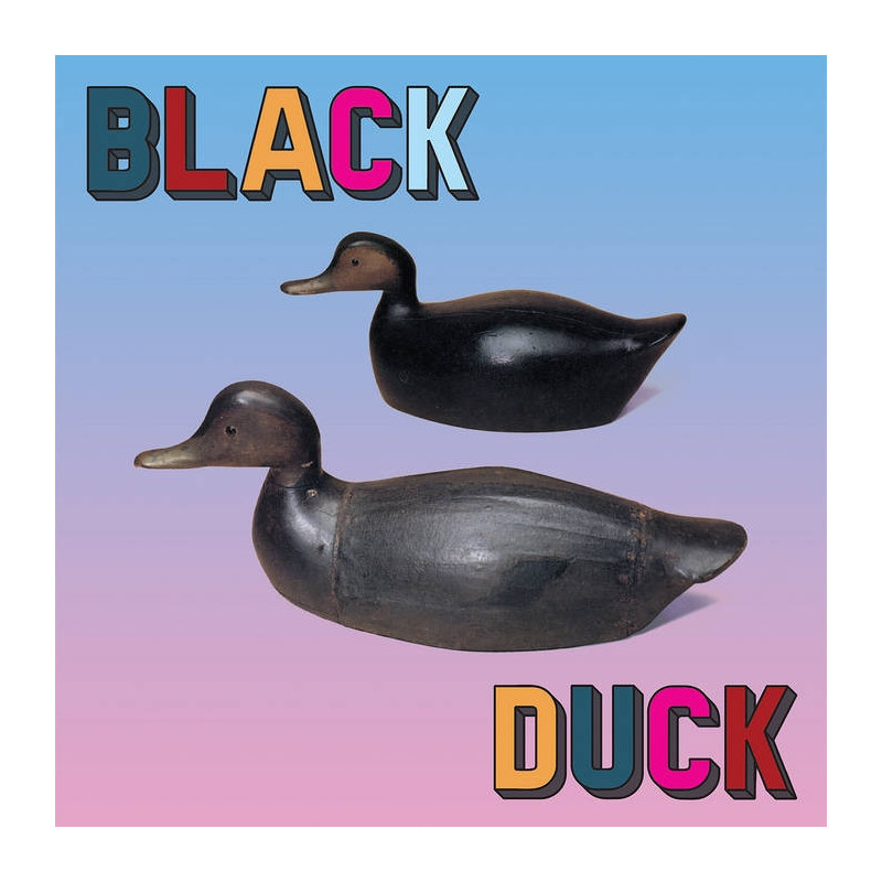 BLACK DUCK