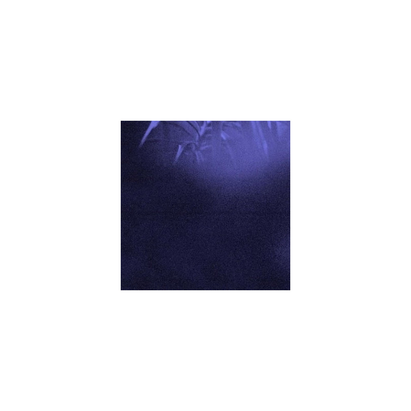 NOCTURNAL JOURNEY