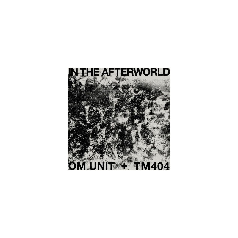 IN THE AFTERWORLD