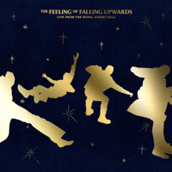 THE FEELING OF FALLING UPWARDS