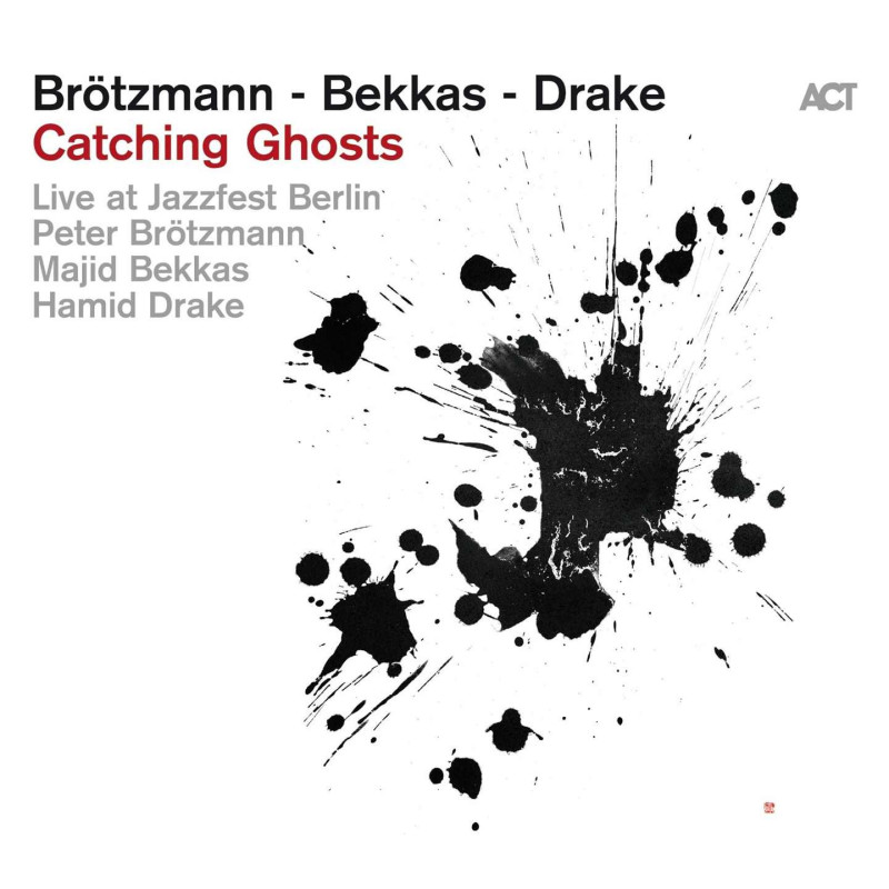 CATCHING GHOSTS