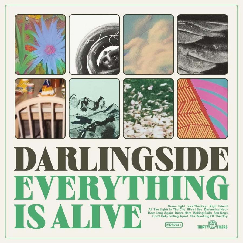 EVERYTHING IS ALIVE