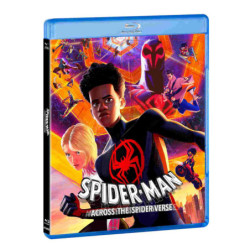 SPIDER-MAN: ACROSS THE SPIDER-VERSE - BD + CARD
