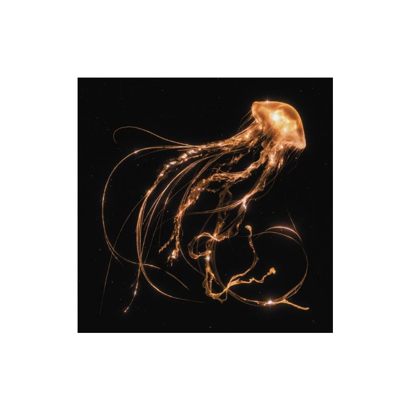 BACK TO THE WATER BELOW