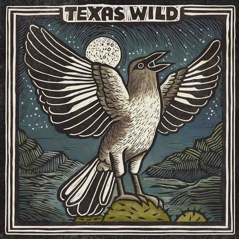 TEXAS WILD
