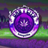 DAB CITY (SIDE A - SIDEB WHITE/GREEN/PUR