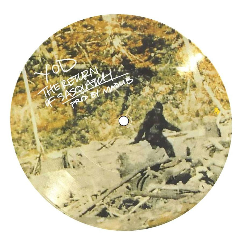 RETURN OF SASQUATCH: PICTURE DISC