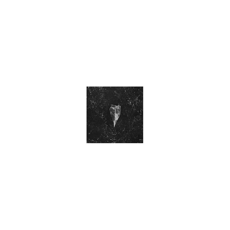 AION - WHITE VINYL