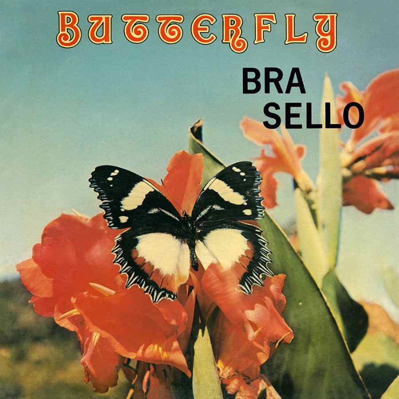 BUTTERFLY