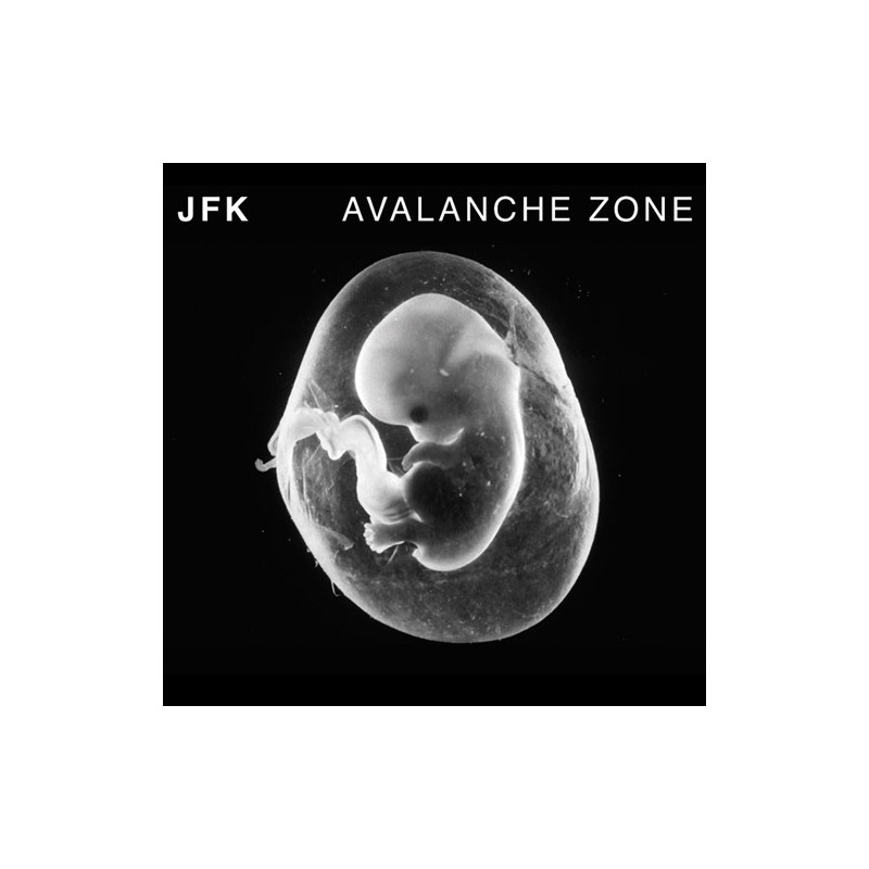 AVALANCHE ZONE