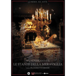 LA STANZA DELLE MERAVIGLIE - DVD