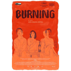 BURNING - DVD